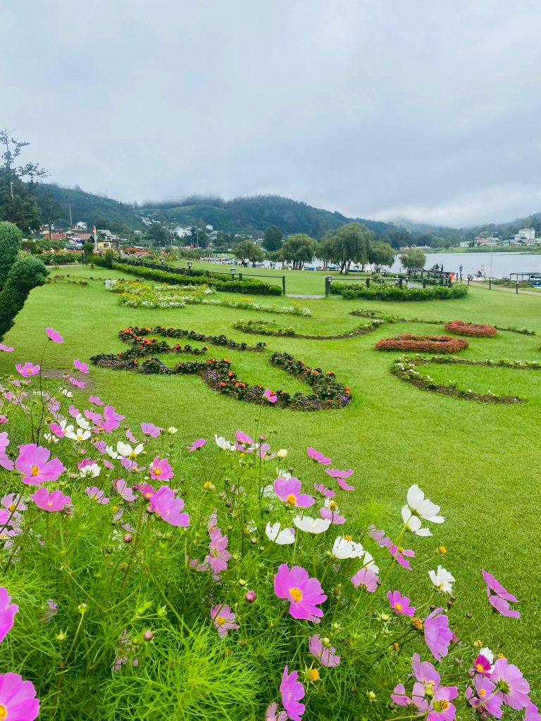 dtk travel 3 day tour